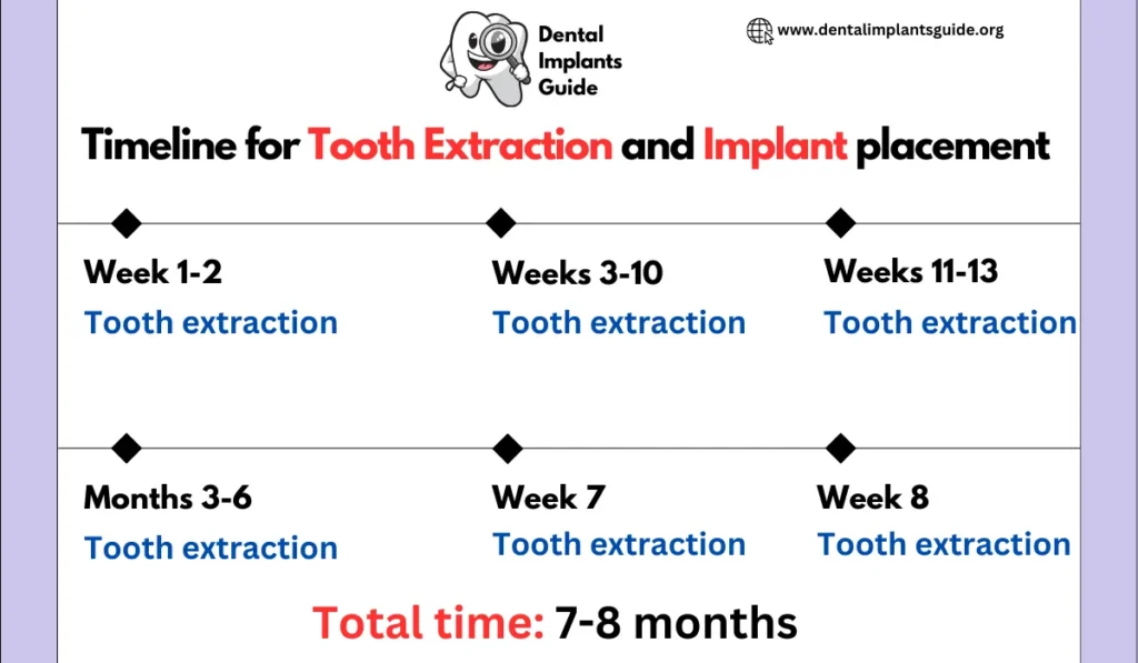 Timeline for tooth extraction and implant placement